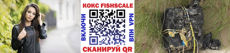 купить наркоту  omg сайт  Cocaine FishScale  Кстово 