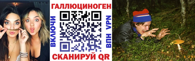 Галлюциногенные грибы Psilocybe  где купить наркоту  kraken как зайти  Кстово 